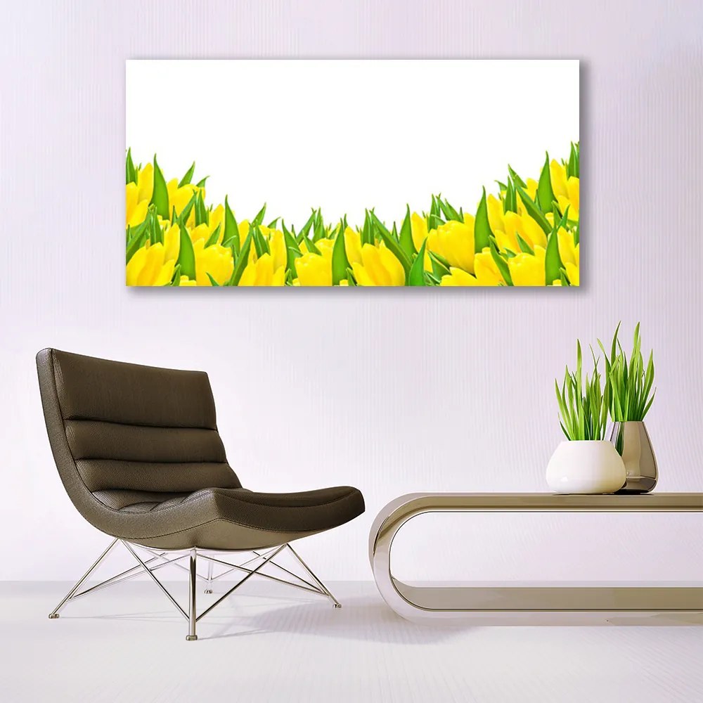 Obraz Canvas Kwiaty Natura Tulipany