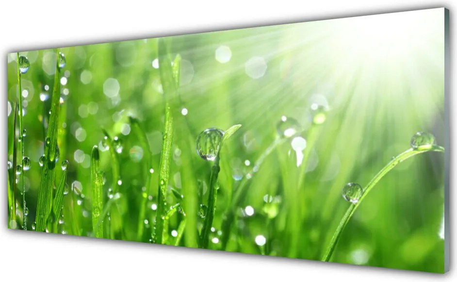 Panel Szklany Krople Rosy na Trawie