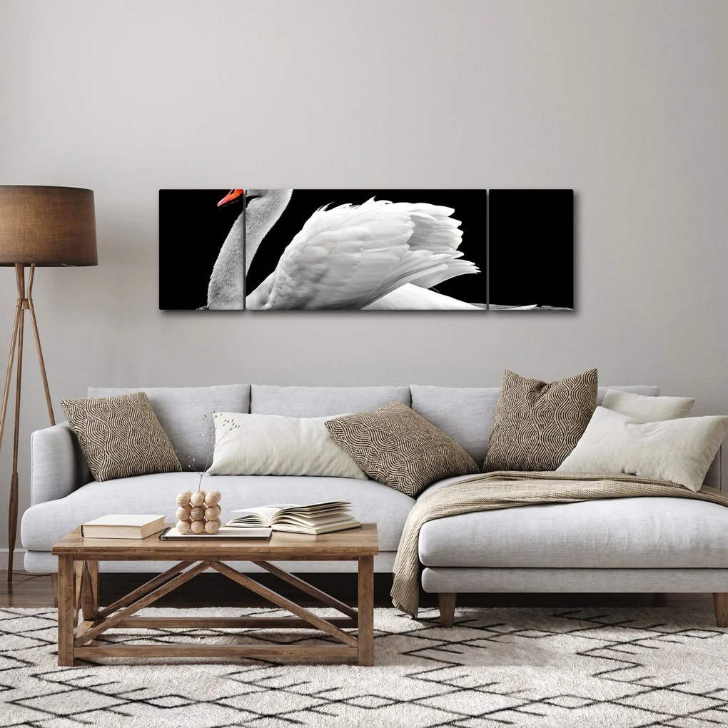 Obraz czarno - białego łabędzia (170x50 cm)
