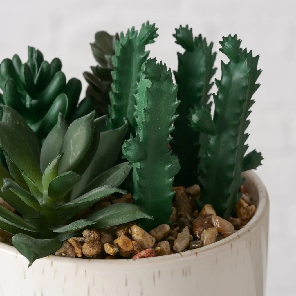 Sztuczna roślinka SUCCULENT, 12 cm