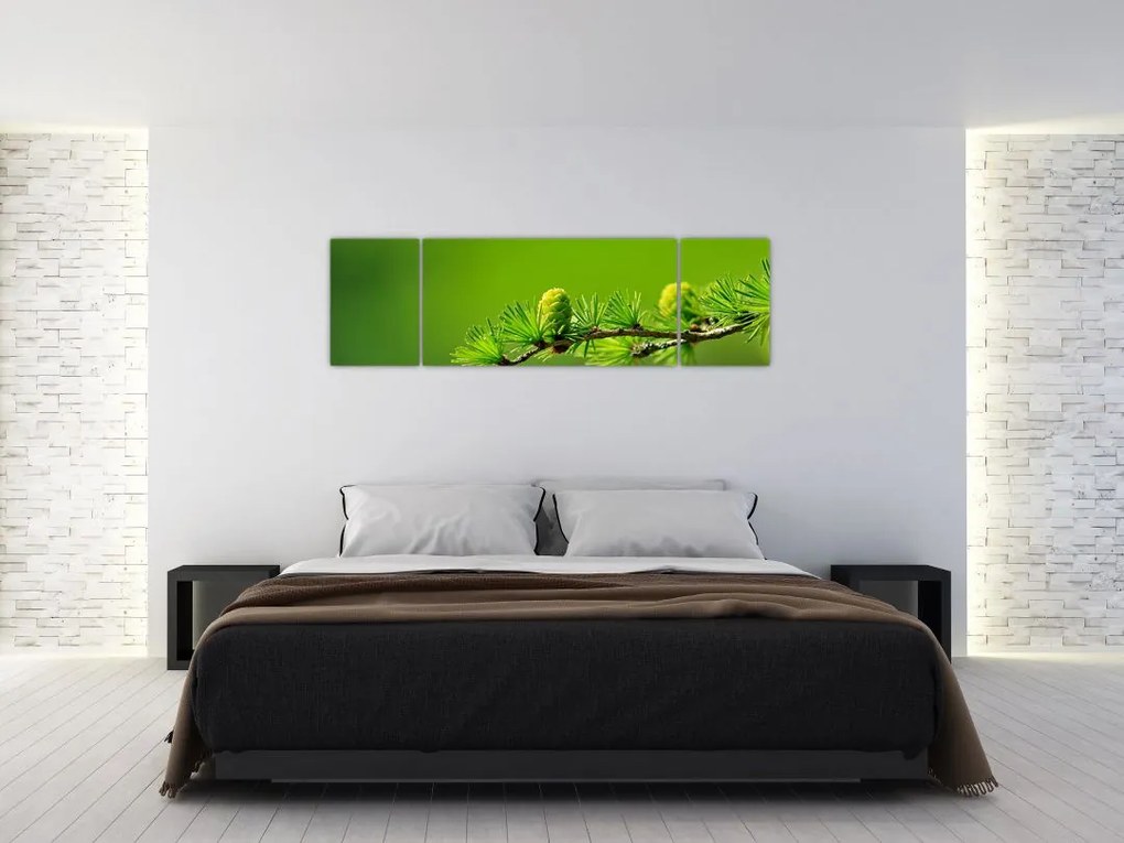 Obraz zielonej szyszki (170x50 cm)