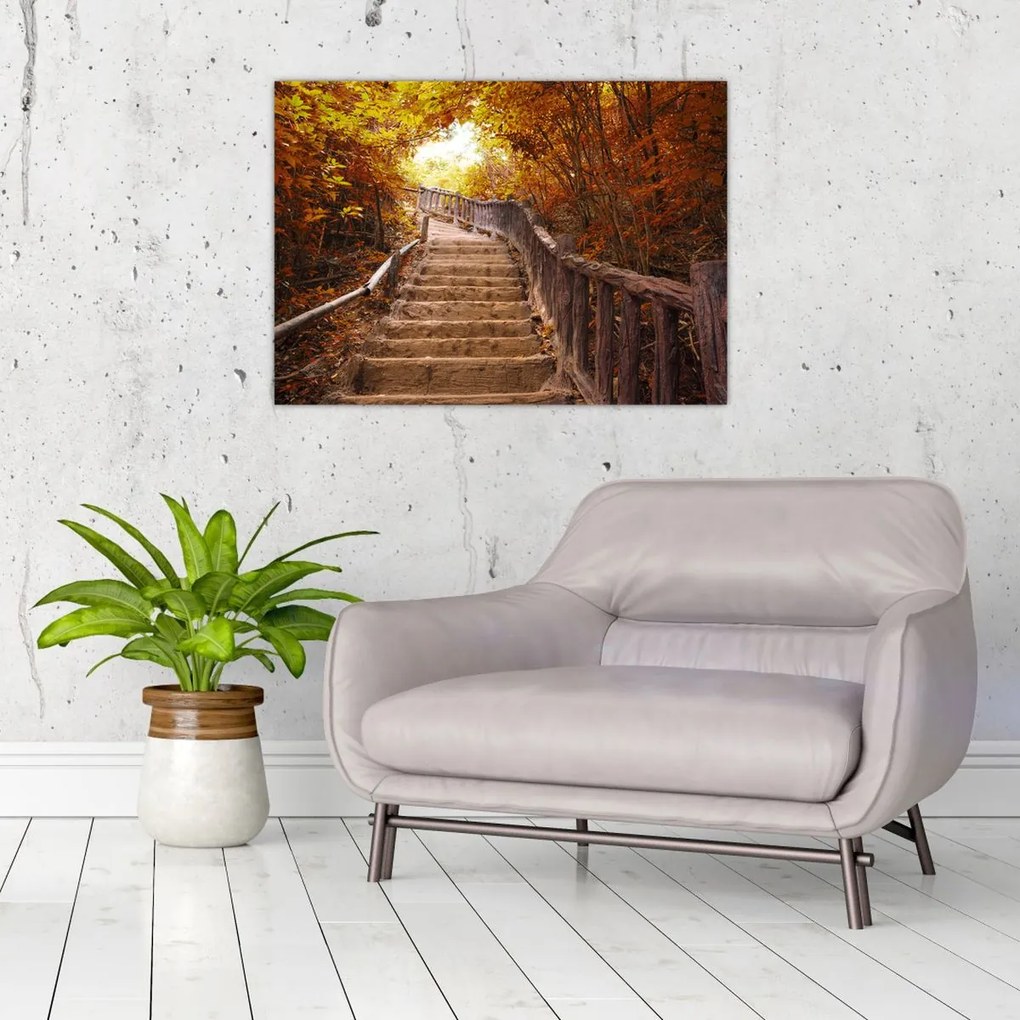 Obraz - Schody w naturze jesienią (70x50 cm)