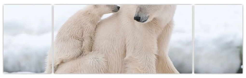 Obraz - Niedźwiedzie polarne (170x50 cm)