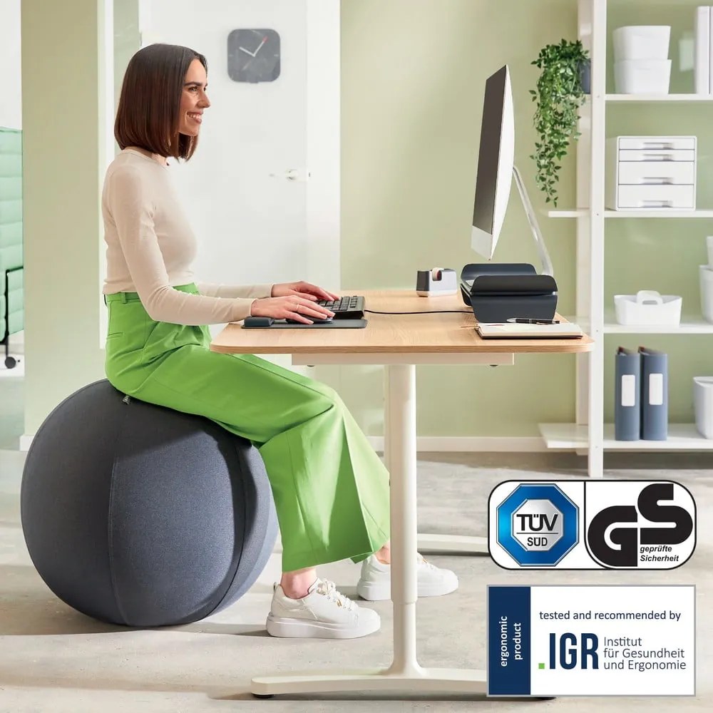 Ergonomiczna piłka do siedzenia z obciążnikami ø 75 cm Ergo – Leitz