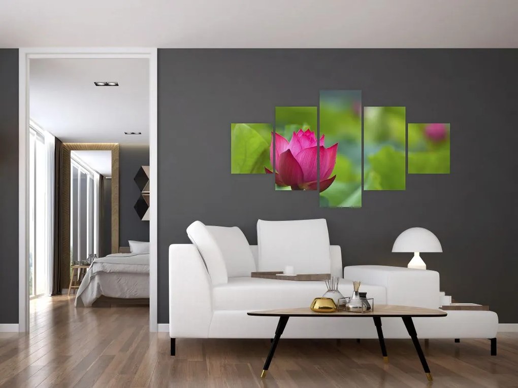 Obraz - roślina wodna (125x70 cm)