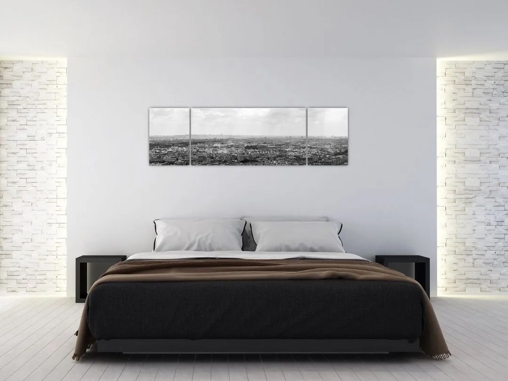 Obraz - Dachy domów w Paryżu (170x50 cm)