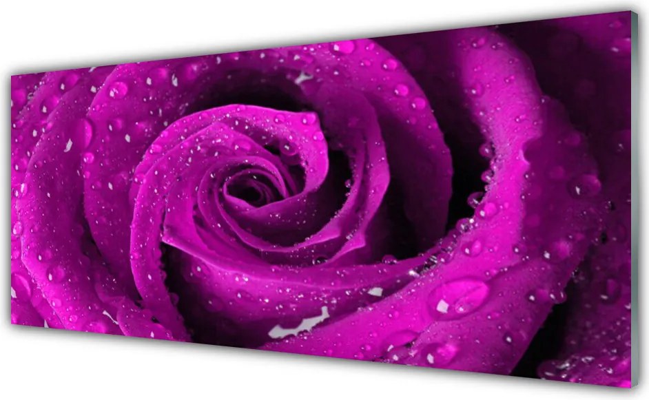 Panel Szklany do Kuchni Aksamitna Róża W Deszczu
