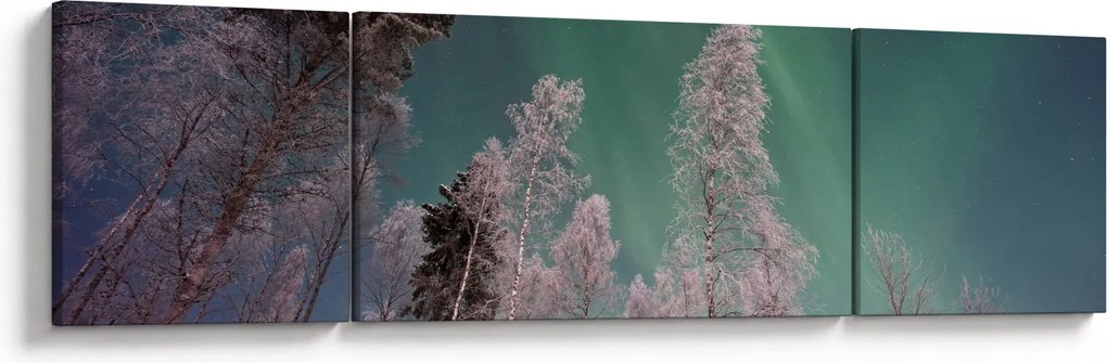 Obraz zorzy polarnej nad zamarzniętymi drzewami (170x50 cm)