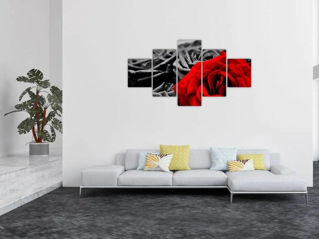 Obraz - Kwiaty róży (125x70 cm)