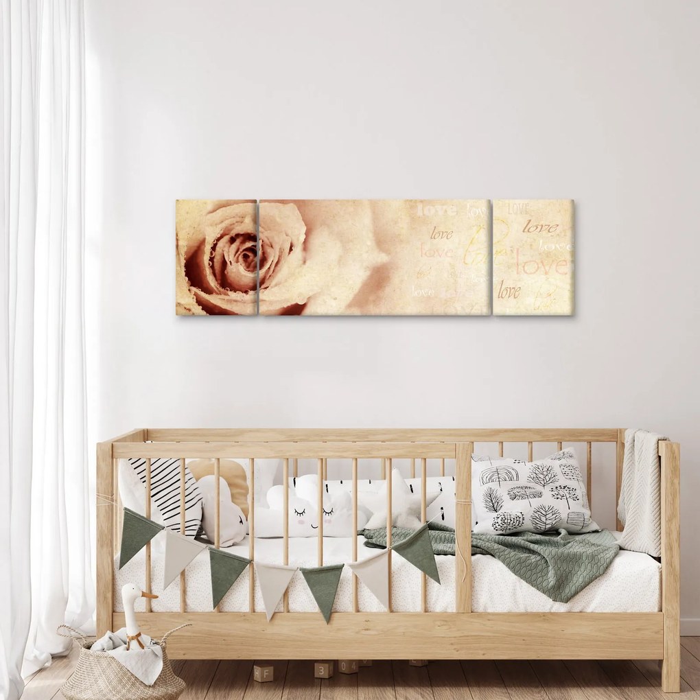 Obraz - Kwiat róży dla zakochanych (170x50 cm)