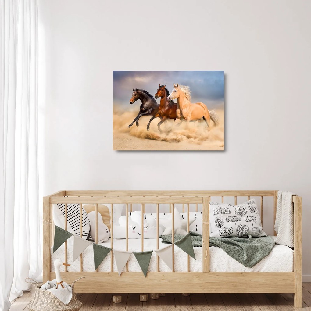 Obraz na szkle - Dzikie konie (70x50 cm)