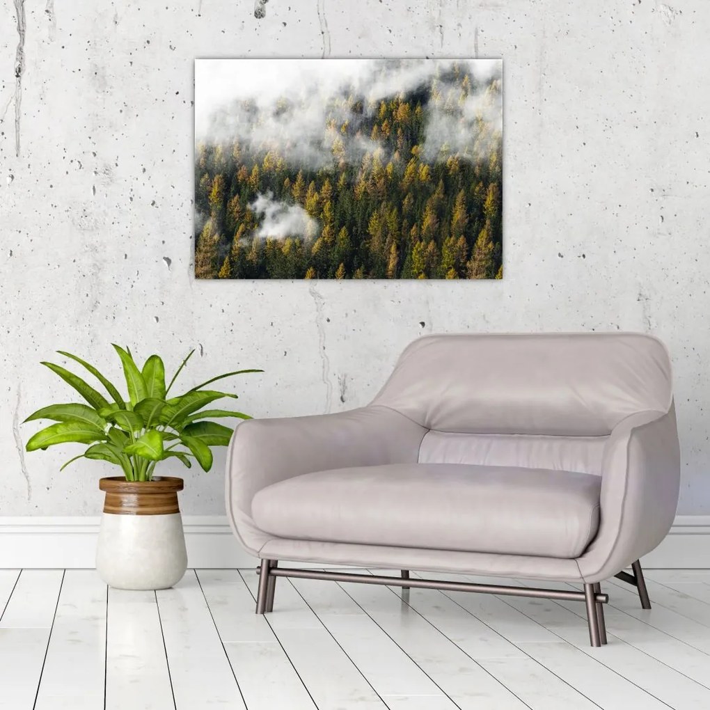 Obraz na szkle lasu w chmurach (70x50 cm)
