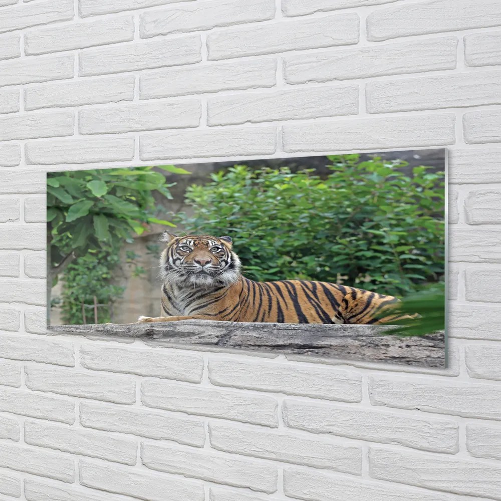 Szklany Panel Tygrys w Sercu Lasu