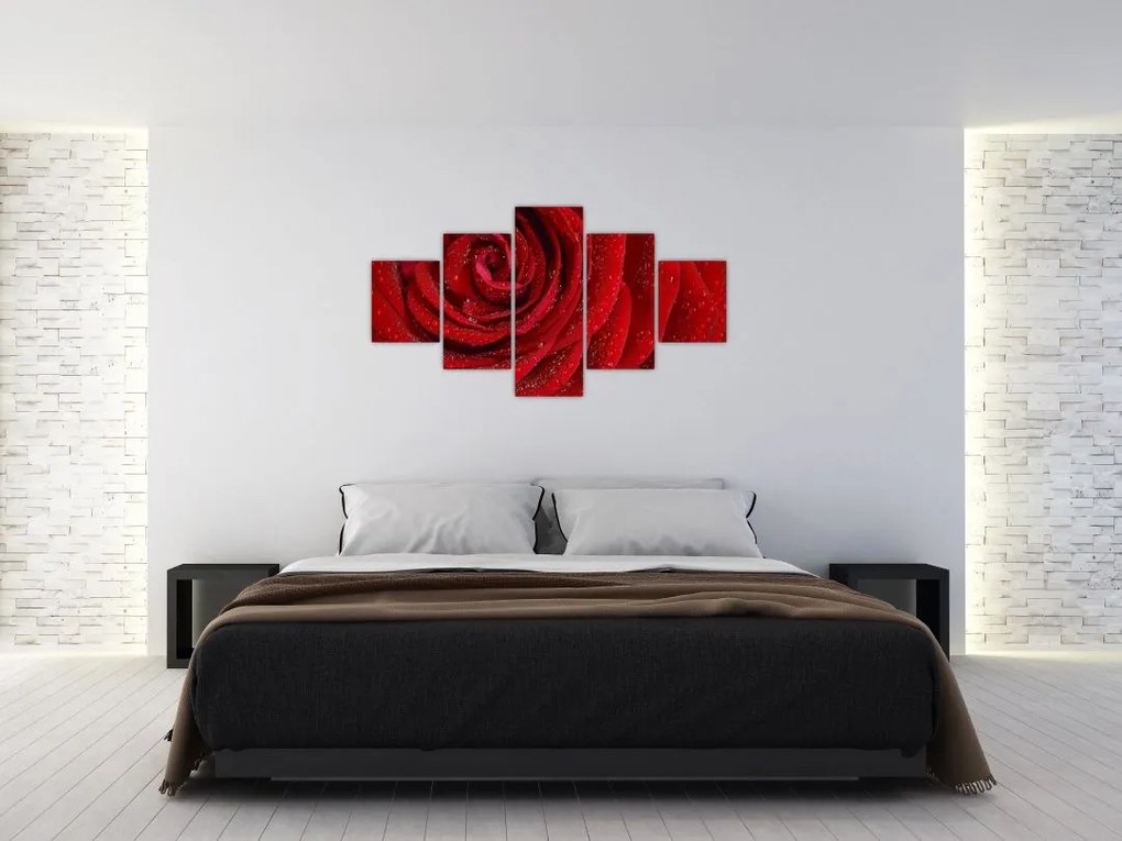 Obraz - szczegół róży (125x70 cm)