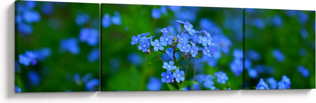 Obraz niebieskich kwiatów (170x50 cm)