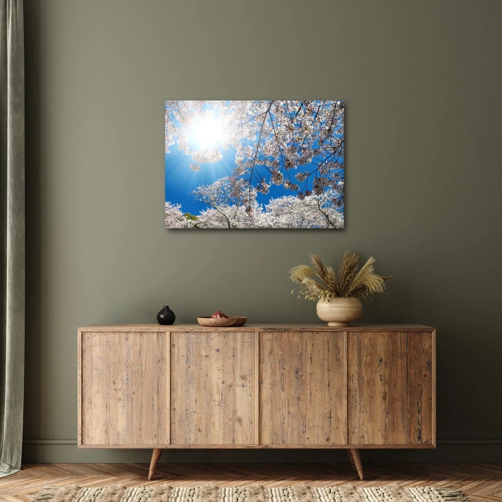 Obraz - Wiśniowe kwiaty (70x50 cm)