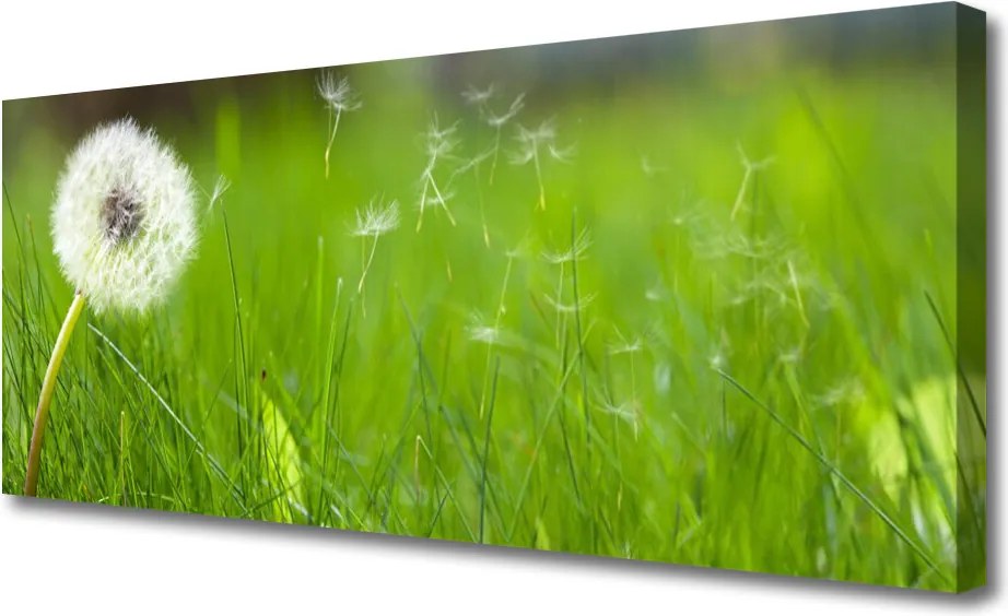 Obraz na płótnie Lekkość Lata: Dmuchawiec