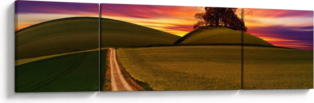 Obraz pola z zachodem słońca (170x50 cm)