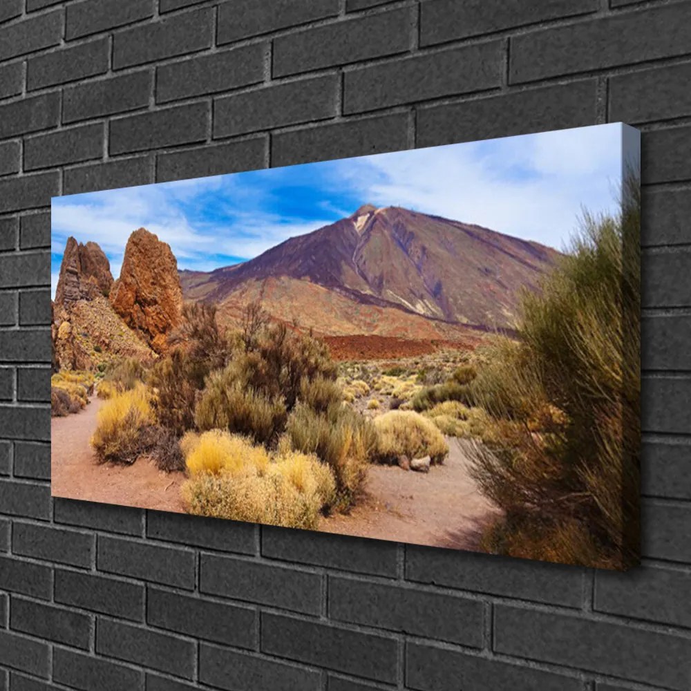 Duży obraz na płótnie Surowy Pejzaż Górski