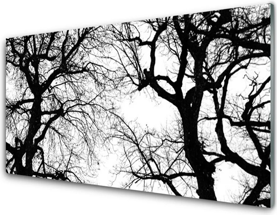 Panel Szklany Drzewa w Czerni i Bieli