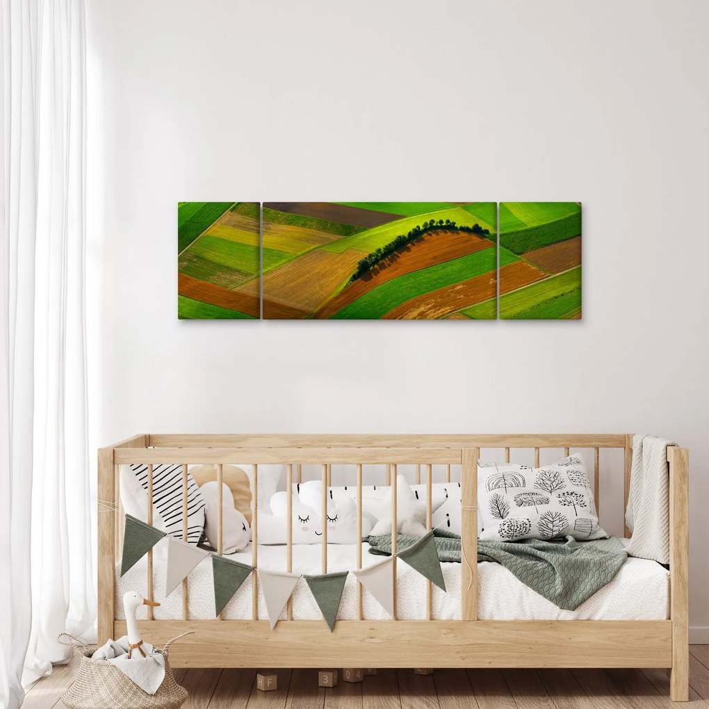 Obraz - Pola, łąki (170x50 cm)