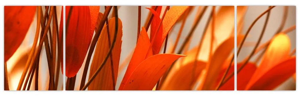 Obraz płatków kwiatów (170x50 cm)