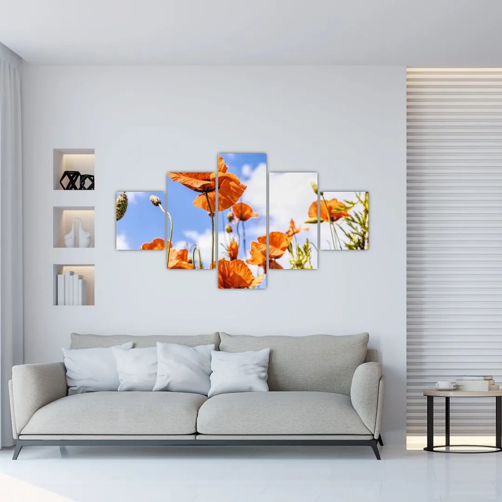 Obraz maków (125x70 cm)