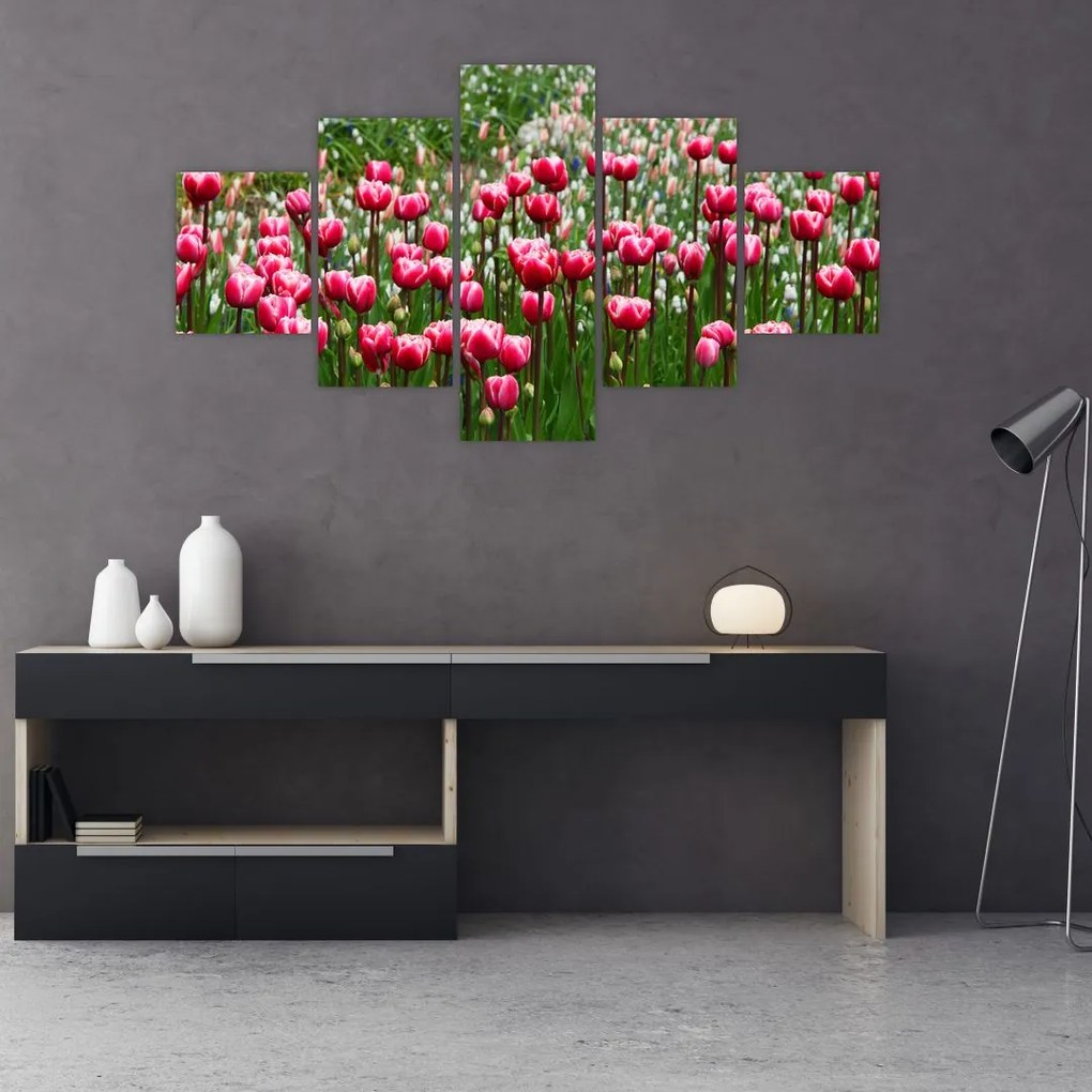 Obraz tulipanów (125x70 cm)