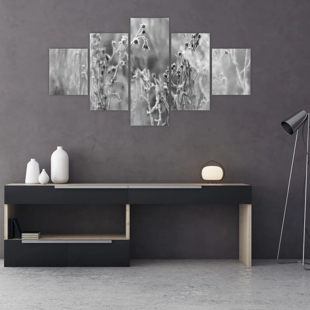 Obraz - Dzika łąka (125x70 cm)