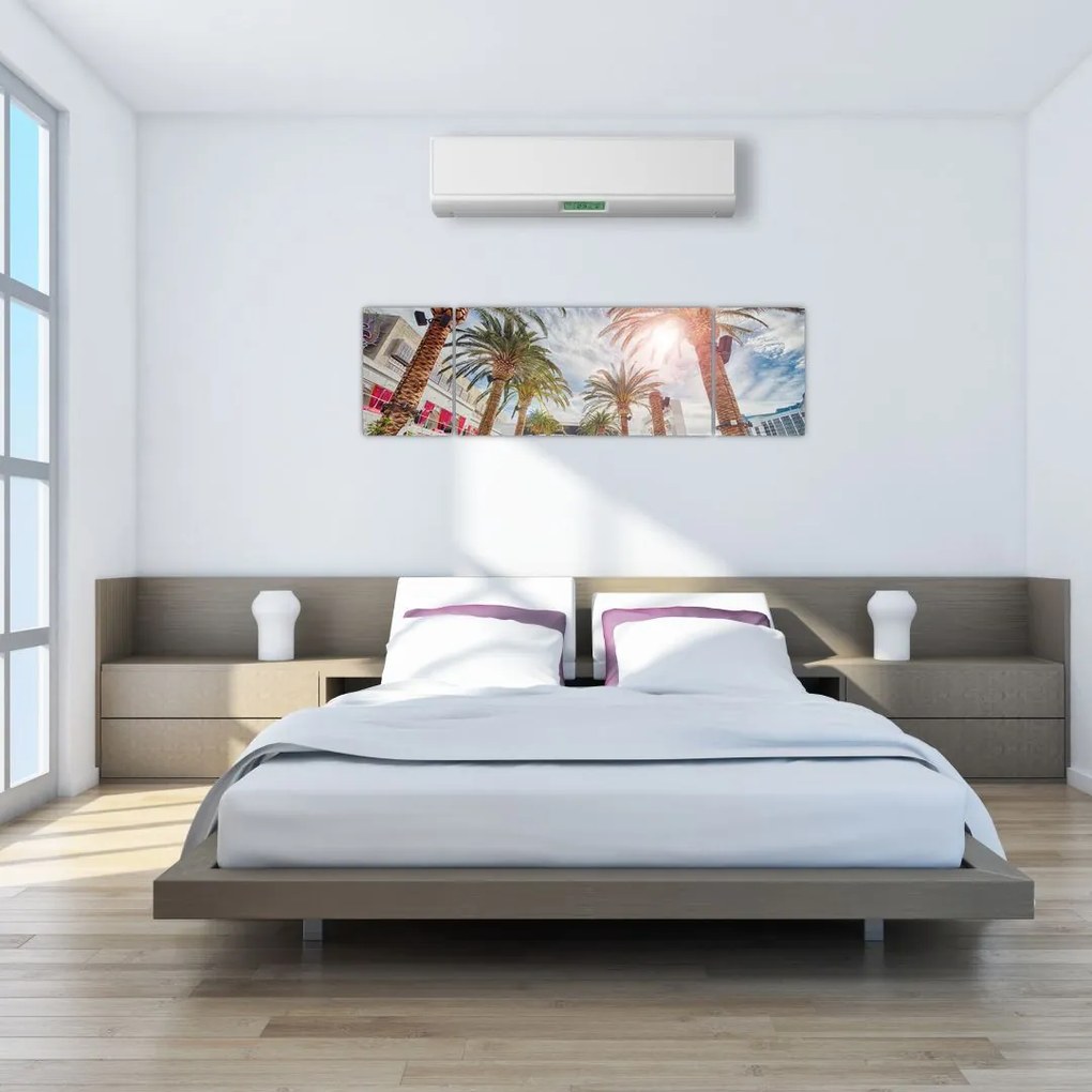 Obraz - palmy z basenem (170x50 cm)