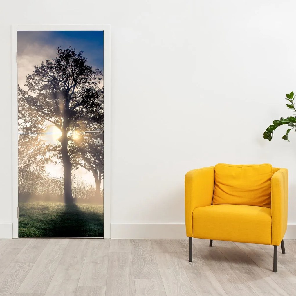 Fototapeta na drzwi - Drzewo we mgle (95x205cm)