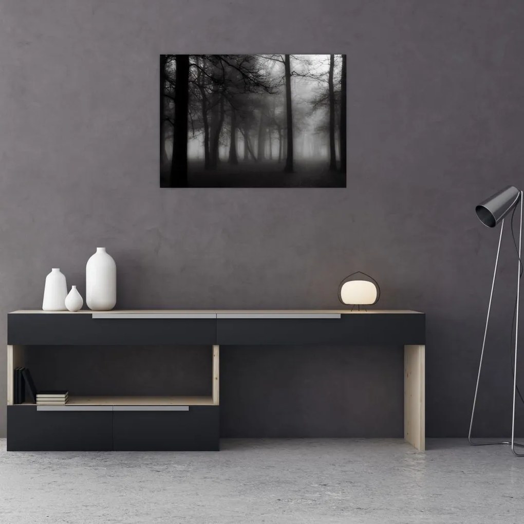 Obraz - Las we mgle (70x50 cm)