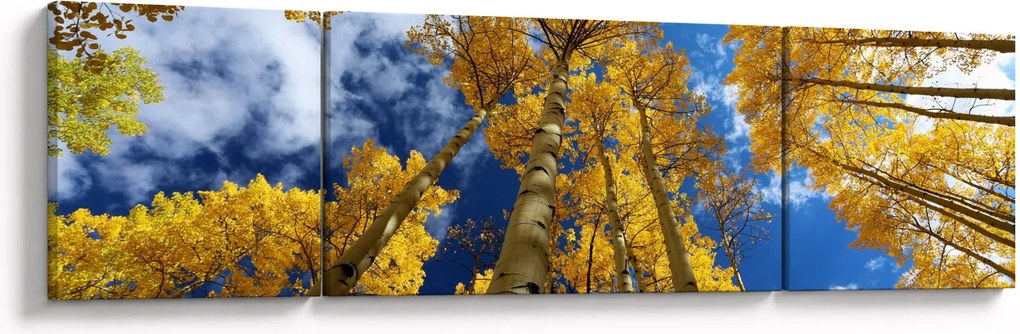 Obraz - Aspen (170x50 cm)