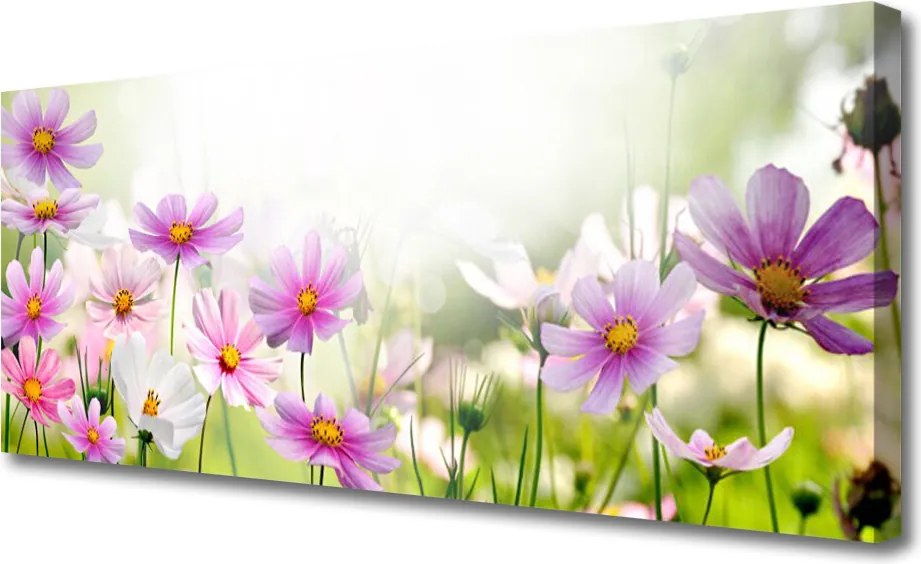 Obraz canvas Naturalna Harmonia Roślin