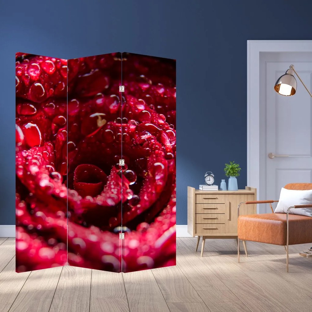 Parawan - Czerwony kwiat róży (126x170 cm)