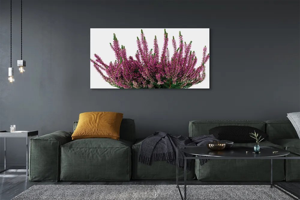 Duży obraz na płótnie Wrzosy