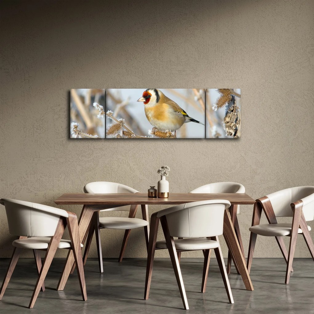Obraz - Szczygieł (170x50 cm)