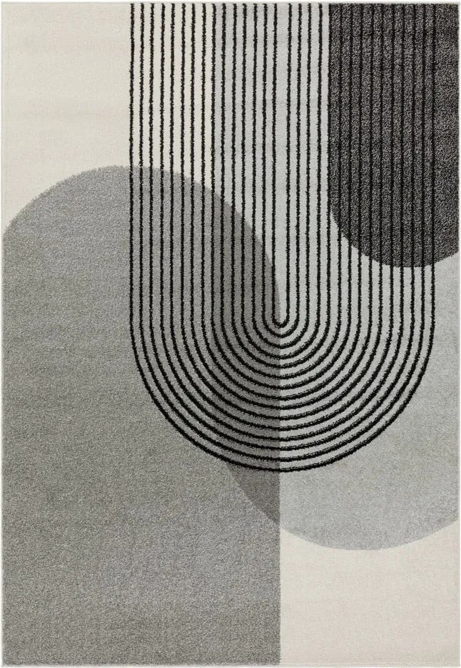 Dywan szary 170x120 cm Muse - Asiatic Carpets