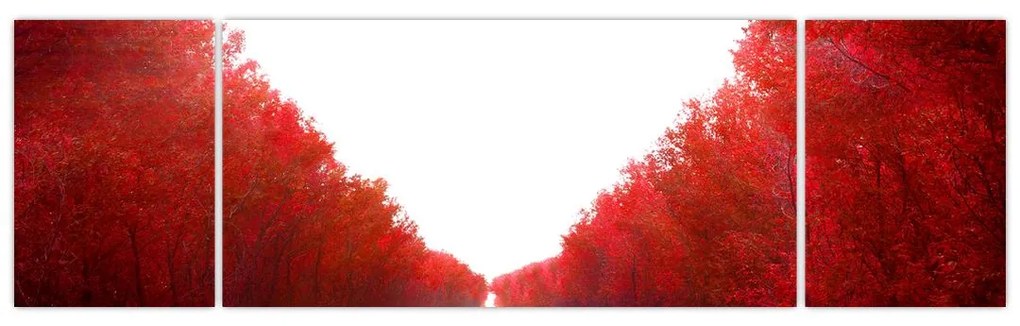 Obraz - Droga do miłości (170x50 cm)