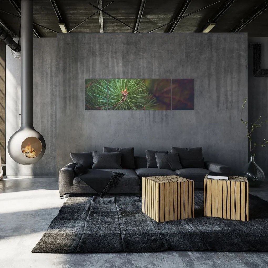 Obraz - Detal sosny (170x50 cm)