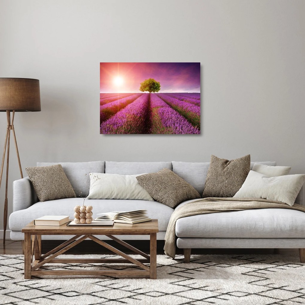 Obraz na szkle pola z lawendą (70x50 cm)