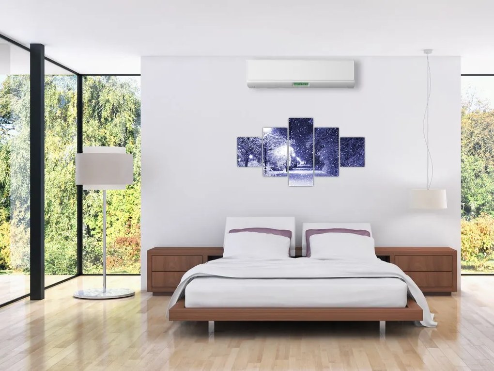 Obraz - Magiczna zimowa noc (125x70 cm)