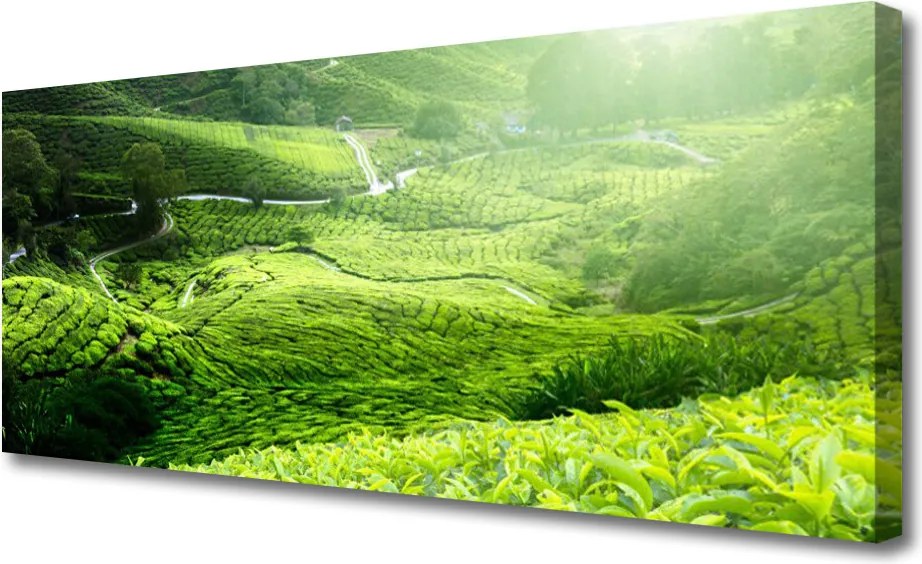 Fotoobraz na płótnie Zieleń Naturalnej Łąki