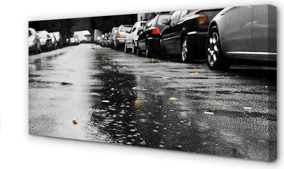 Zdjęcie na płótnie Samochód na Jesiennej Drodze