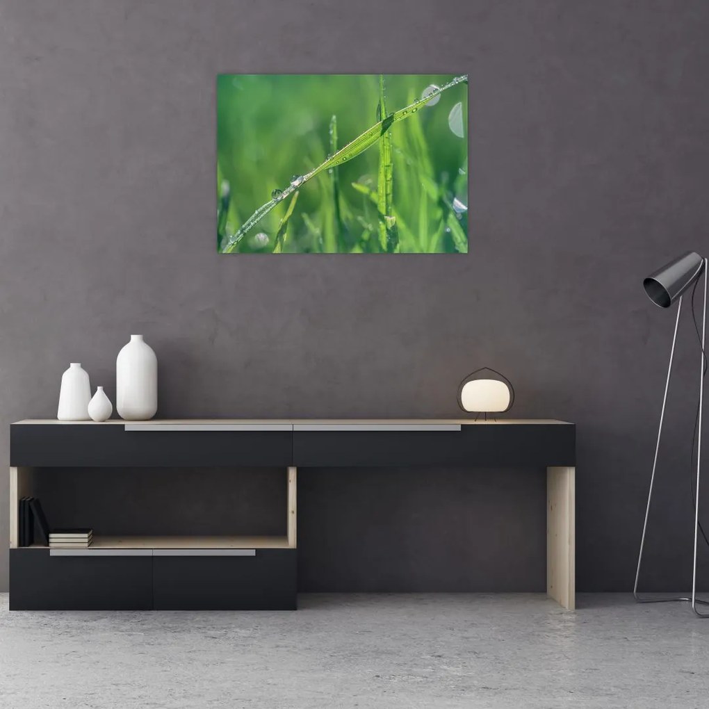 Obraz kropli rosy (70x50 cm)