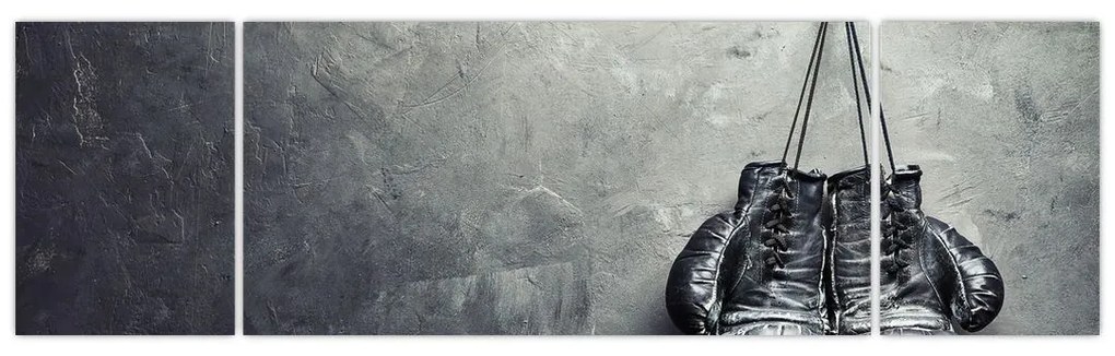 Obraz rękawic bokserskich (170x50 cm)