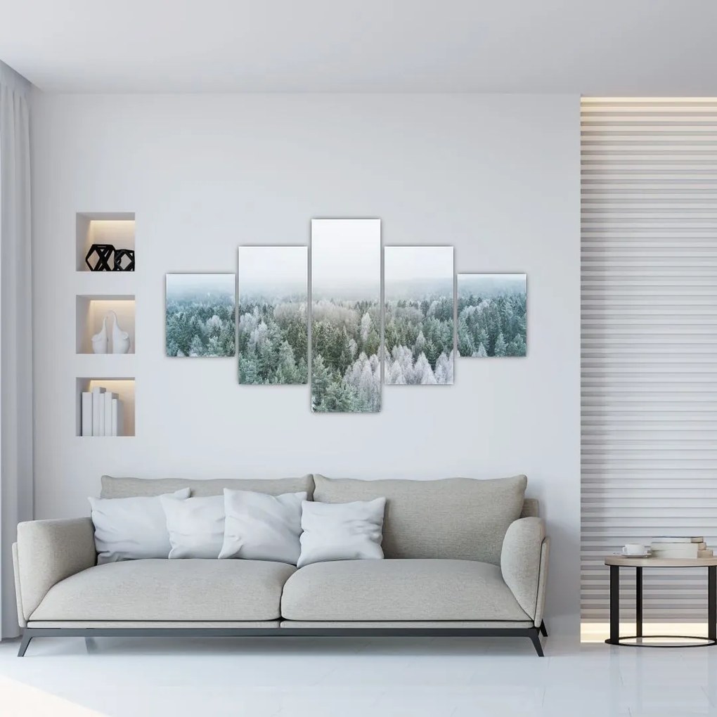Obraz - Ośnieżone szczyty lasów (125x70 cm)