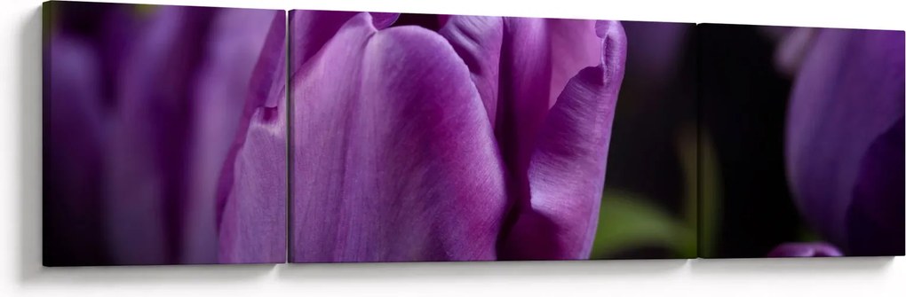 Obraz kwiatów tulipanów (170x50 cm)