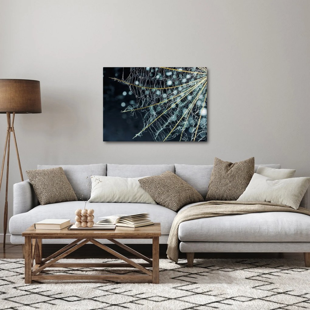 Obraz - Kwiat z pajęczyną (70x50 cm)