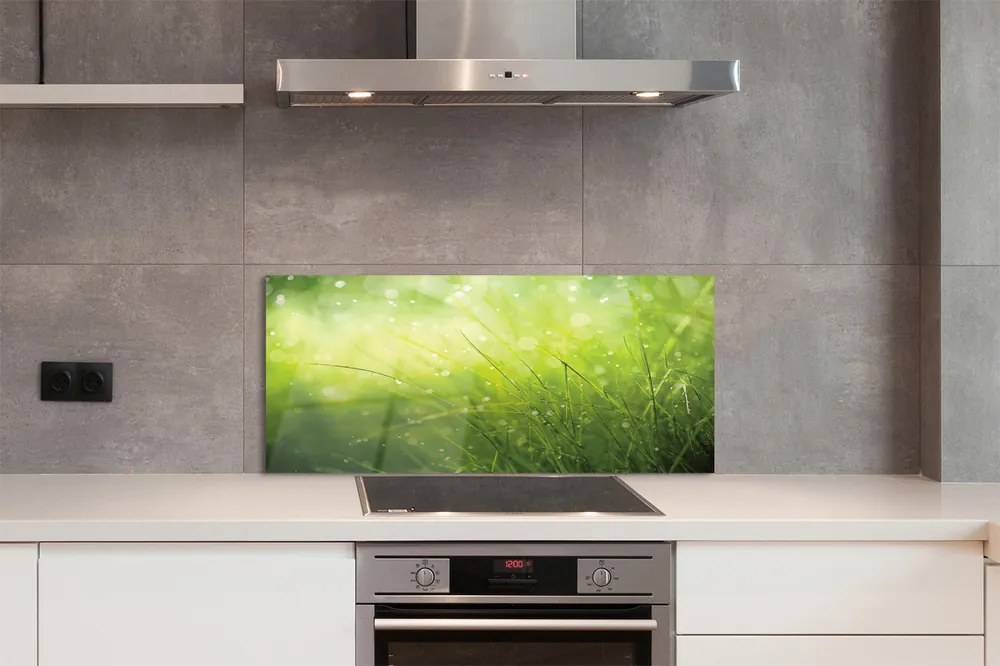 Szklany Panel Świeżość Rosy na Trawie